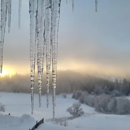 Petite Vue Sur Le Paradis *