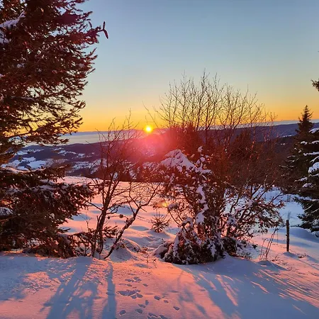 Petite Vue Sur Le Paradis Orbey