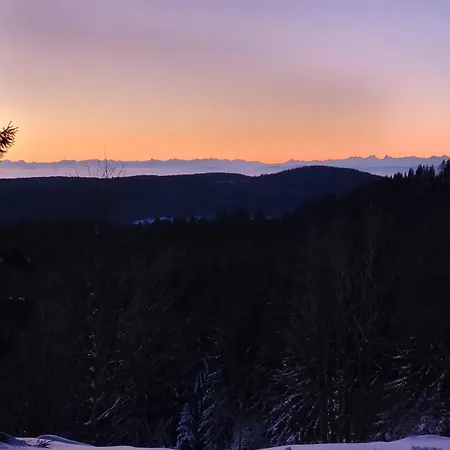Petite Vue Sur Le Paradis Apartment Orbey