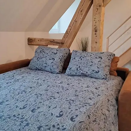 Beau Duplex F2 Neuf Sur Le Blanc Apartament Orbey