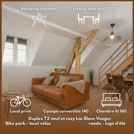 Beau Duplex F2 Neuf Sur Le Blanc Orbey