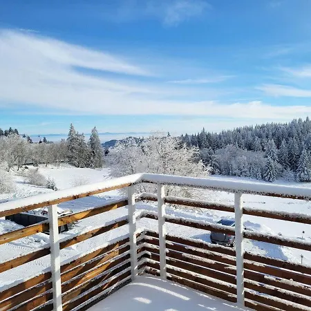 Beau Duplex F2 Neuf Sur Le Blanc Orbey