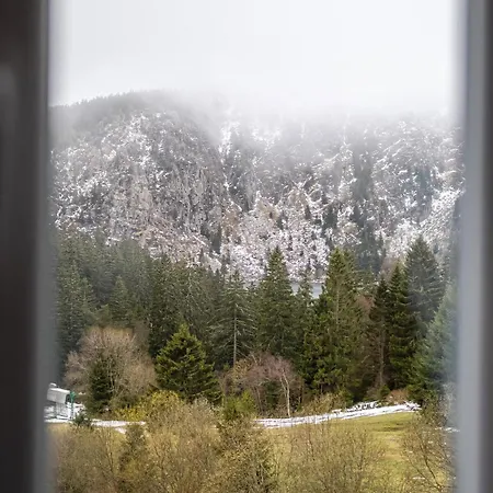 Beau Duplex F2 Neuf Sur Le Blanc * Orbey