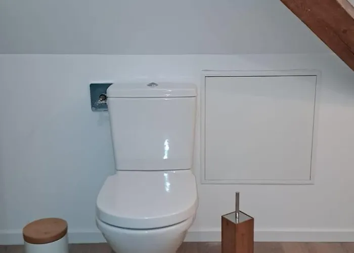 Beau Duplex F2 Neuf Sur Le Blanc